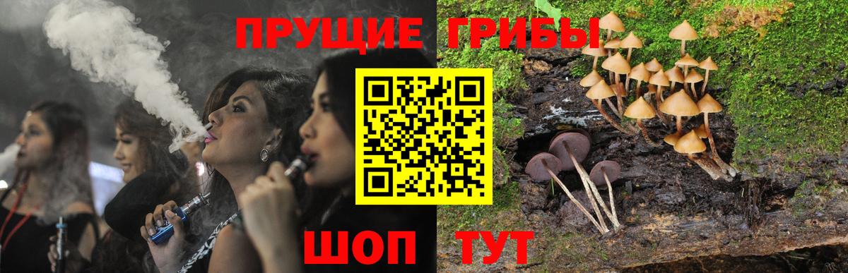 Галлюциногенные грибы Cubensis  Галлюциногенные грибы мицелий  Калуга  Вход с VPN 