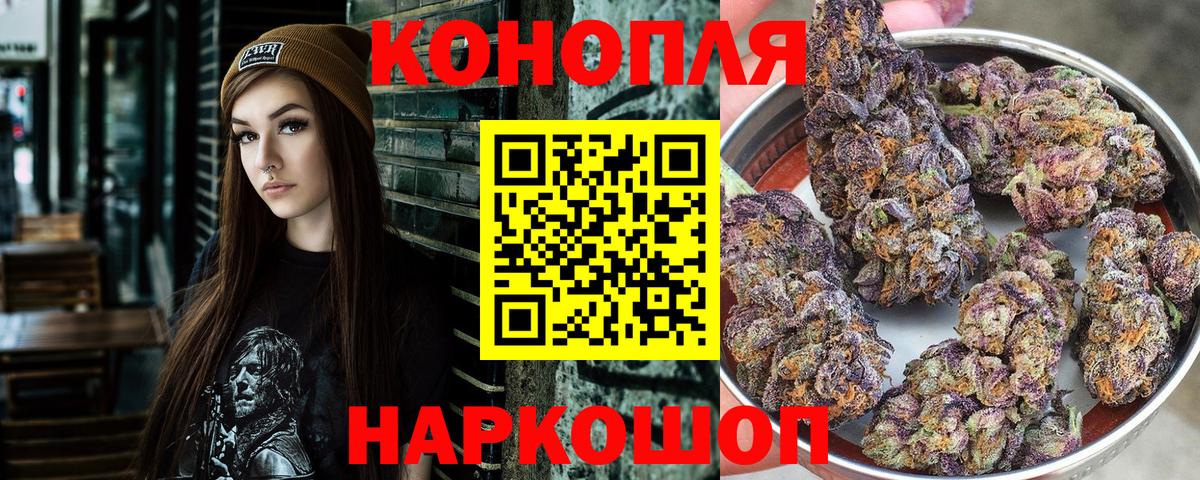 Каннабис конопля Калуга